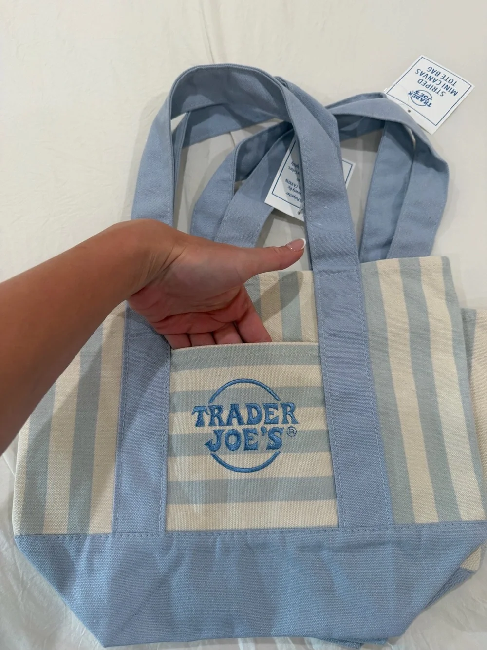 Blue Stripe Canvas Tote Bag - Trader Joe’s